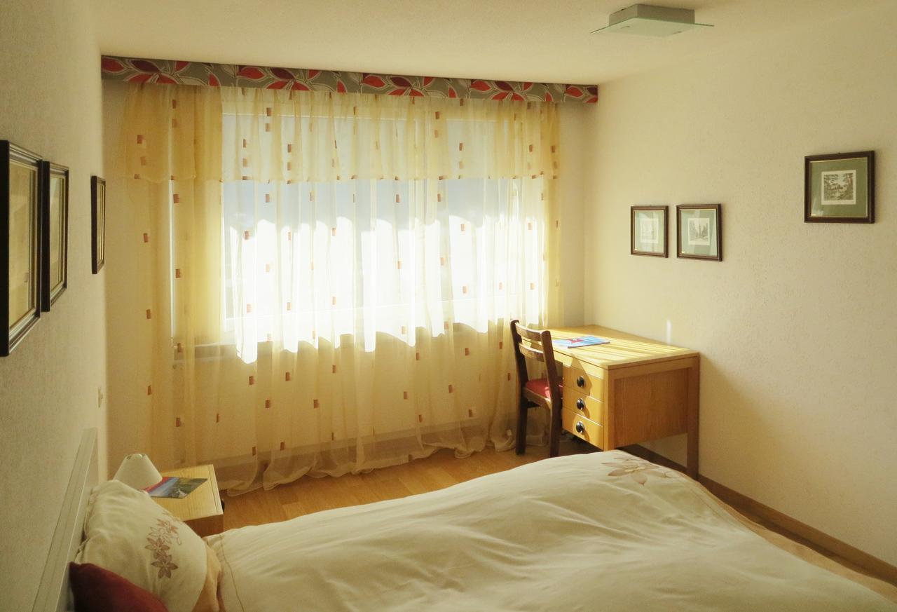 Holiday Accommodation - Swimming Pool Available Νταβός Εξωτερικό φωτογραφία